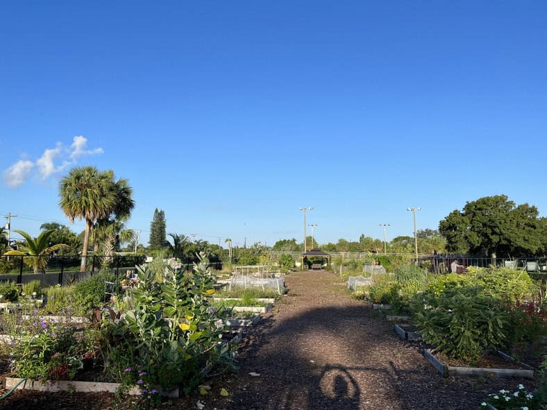 Cultivating Community: The Boca Community Garden