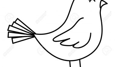 Featured image of post View 20 Cute:ittriszswze= Simple:0Yjamsdo-O4= Easy Drawings