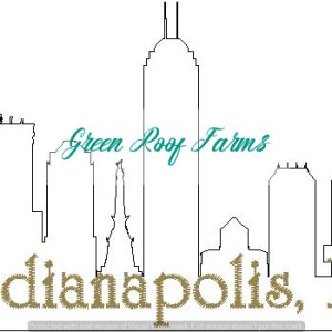 Indianapolis Skyline