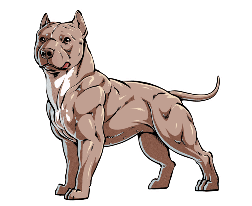american pit bull terriers