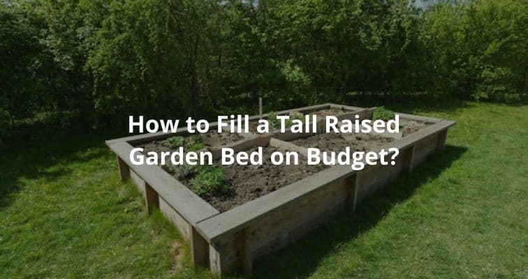 How To Fill A Tall Raised Garden Bed On Budget Igra World Tall Raised Garden Bed On Budget, How To Make Tall Raised Garden Beds