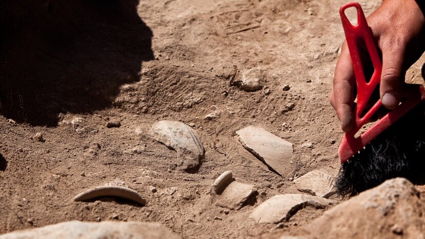an archaeologist digging in the ground with a small hand tool