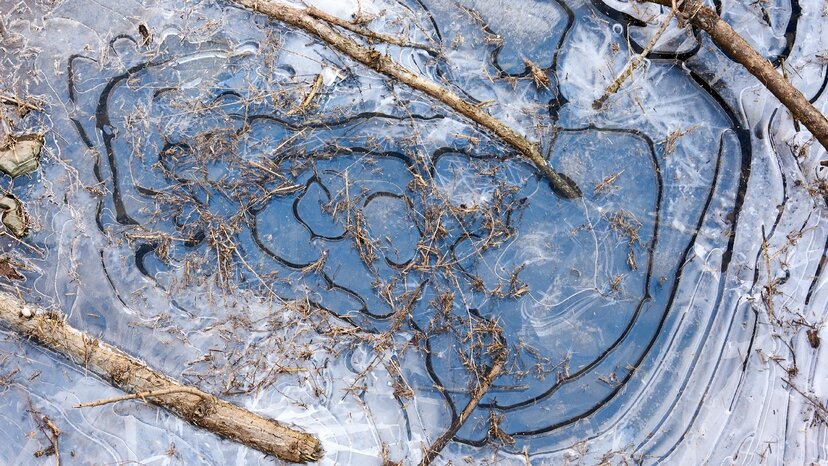 frozen water in puddles with air pockets and plants to show what GPR can detect in subsurfaces
