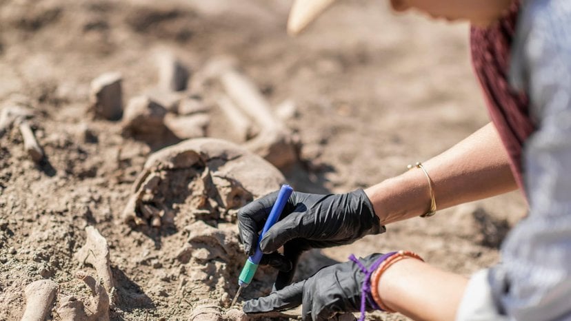 an archaeologist uses a shovel, a tool vital in archaeology, to excavate ancient human remains