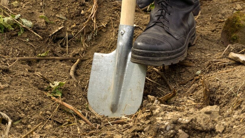 a person uses a shovel to dig in soil