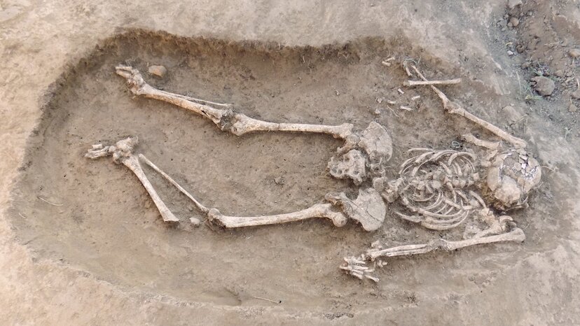 skeleton bones from an unmarked grave or tomb sit in the dirt