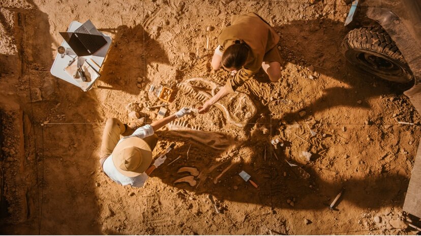 after using ground-penetrating radar, two paleontologists uncover dinosaur bones buried in the ground