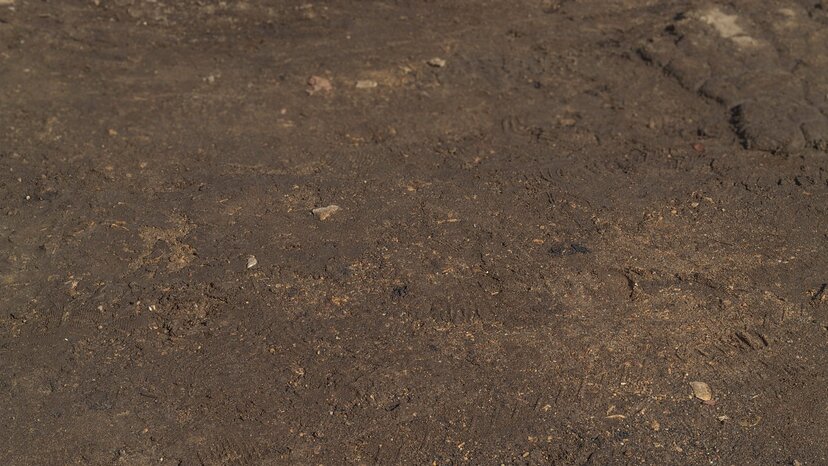 a dirt ground surface