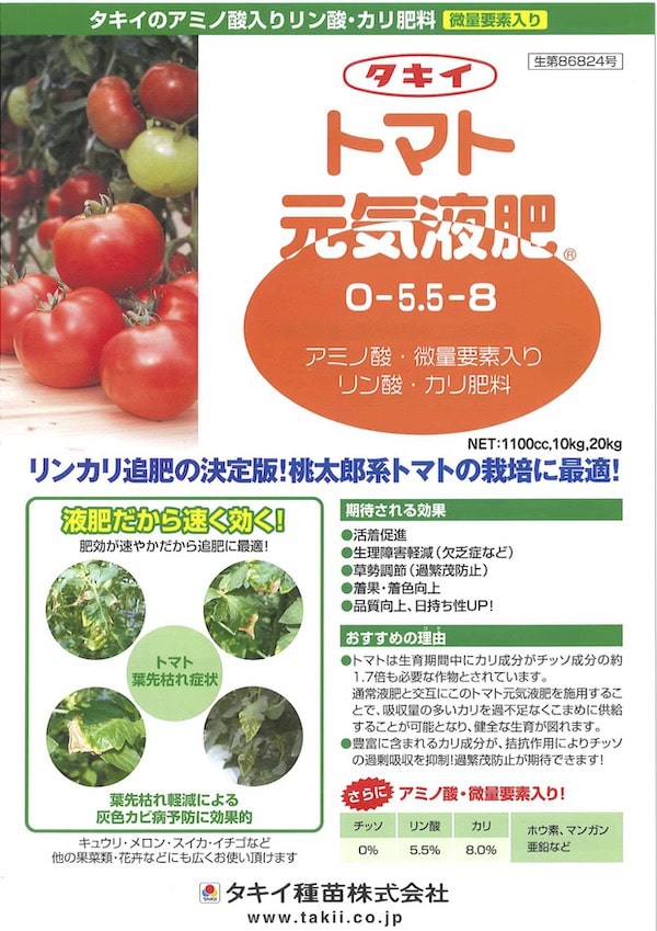トマトの葉先枯れはどう治す 発生の理由と対策を解説 トマトの葉先枯れはどう治す 発生の理由と対策を解説