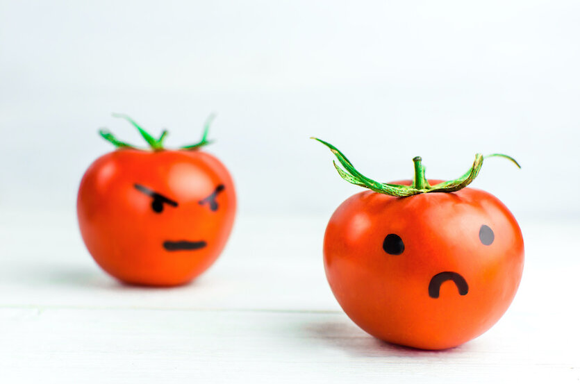 初心者対応 甘いトマトの育て方 塩を加えた灌水で簡単糖度アップがおすすめ