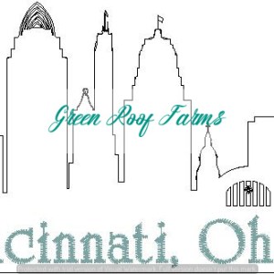 Cincinnati Skyline