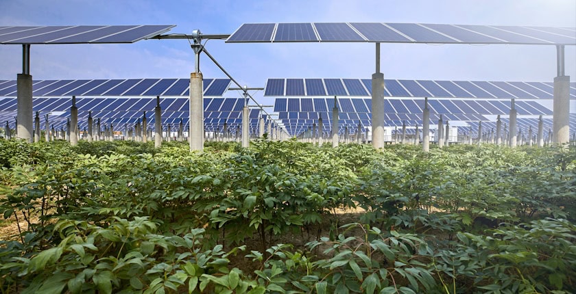 croatia bilogora agrisolar