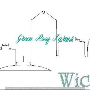 Wichita Skyline