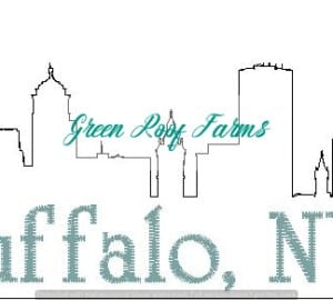 Buffalo Skyline
