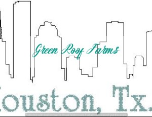 Houston Skyline