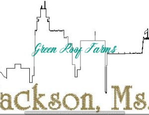 Jackson Skyline