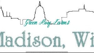 Madison Skyline