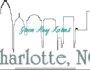 Charlotte Skyline