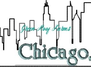 Chicago Skyline
