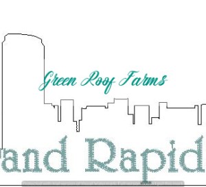 Grand Rapids Skyline