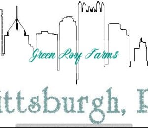 Pittsburgh Skyline