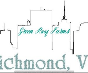 Richmond Skyline