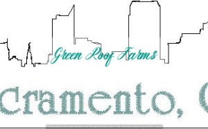 Sacramento Skyline