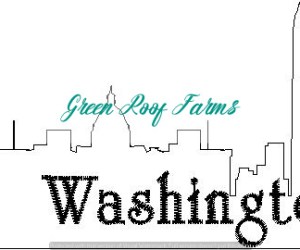 Washington Skyline