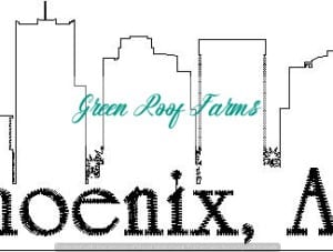 Phoenix Skyline