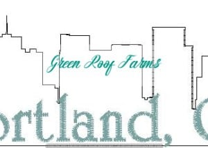 Portland Skyline