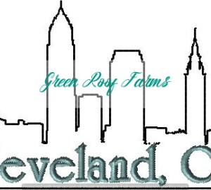 Cleveland Skyline