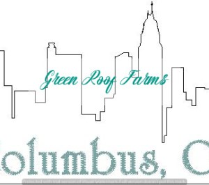 Columbus Skyline