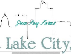 Salt Lake City Skyline