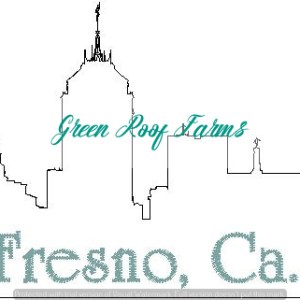 Fresno Skyline