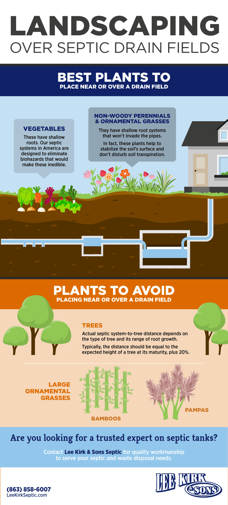 Perfect Plants To Place Over A Septic Drain Field Lee Kirk Sons Septic Lakeland Fl