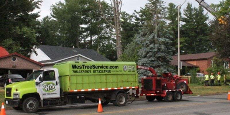 b&b tree service saskatoon