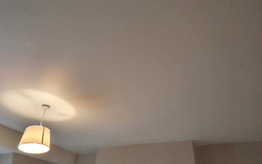 How Much Does A Decorator Charge To Paint A Ceiling Decorator S Forum Uk