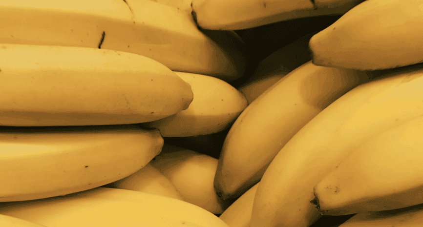 son los plátanos buenos para el schipperke