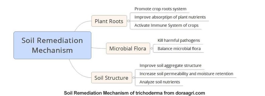 18+ Trichoderma For Plants