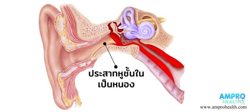 à¹„à¸‚ à¸« à¸