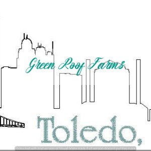 Toledo Skyline
