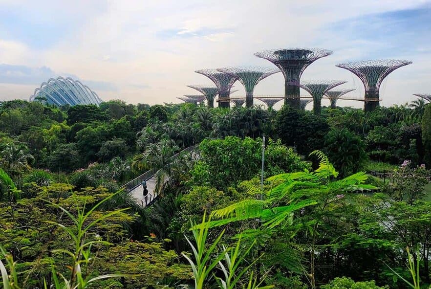 Gardens By The Bay What To See Do In 2021 All You Need To Know