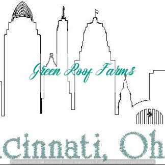 Cincinnati Skyline