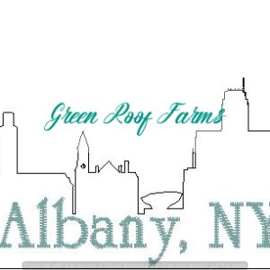 Albany Skyline
