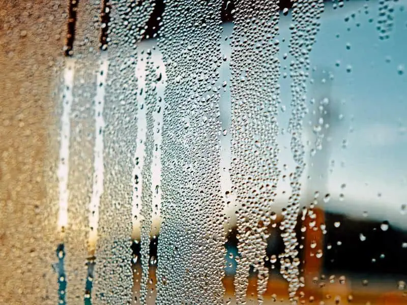 10 Examples Of Condensation