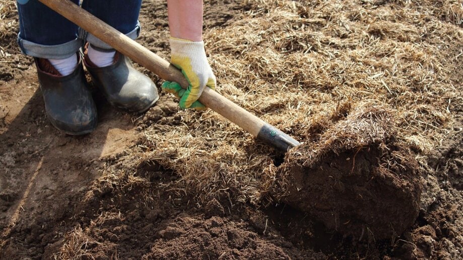 a person digs a hole in the ground