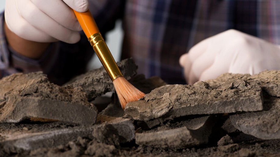 an archeologist is brushing off some rocks