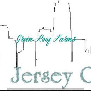 Jersey City Skyline