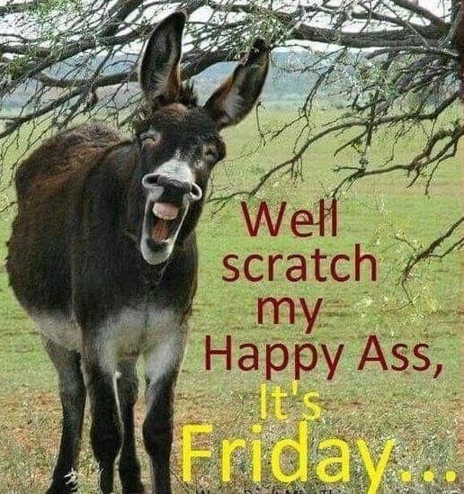 Memes about Friday - Over 50 Funny Friday Memes to LOL at