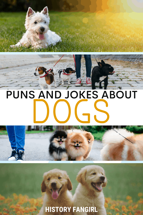 151 Pawsome Dog Puns Puppy Puns For Captions Statuses